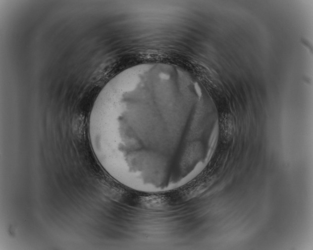 X0000091290511200708311320