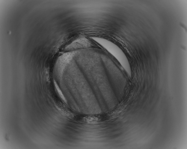 X0000091290512200708311320