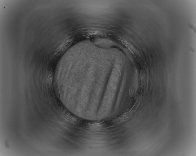 X0000091290513200708311320