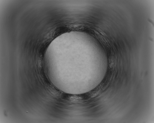 X0000091290515200708311320