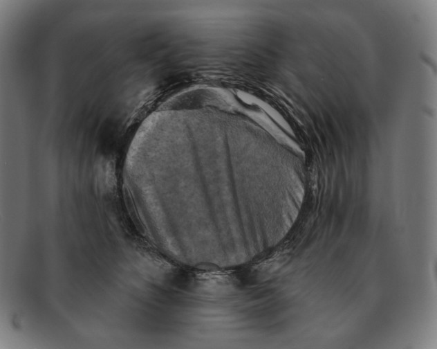 X0000091290516200708311320