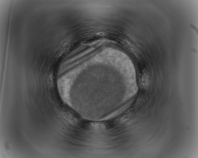 X0000091290520200708311320