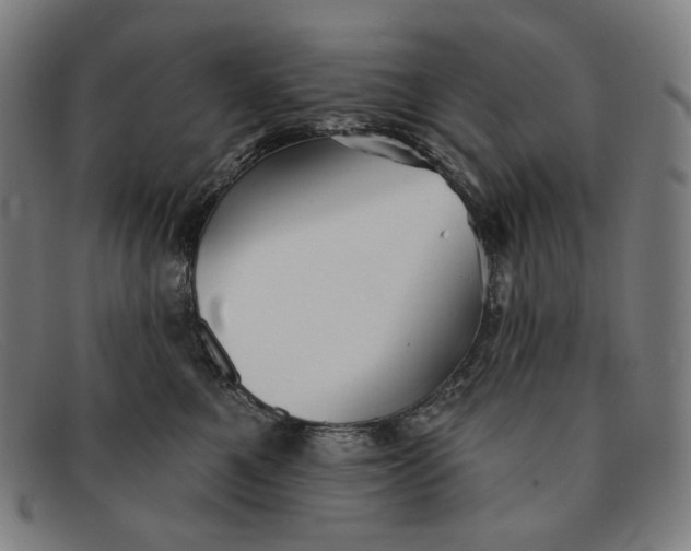 X0000091290521200708311320