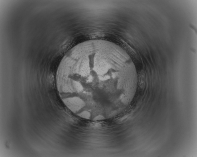 X0000091290523200708311320