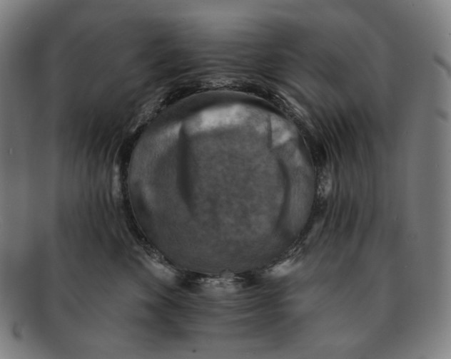 X0000091290524200708311320