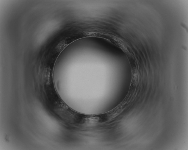 X0000091290525200708311320