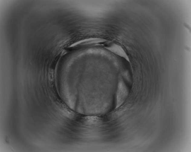 X0000091290528200708311320