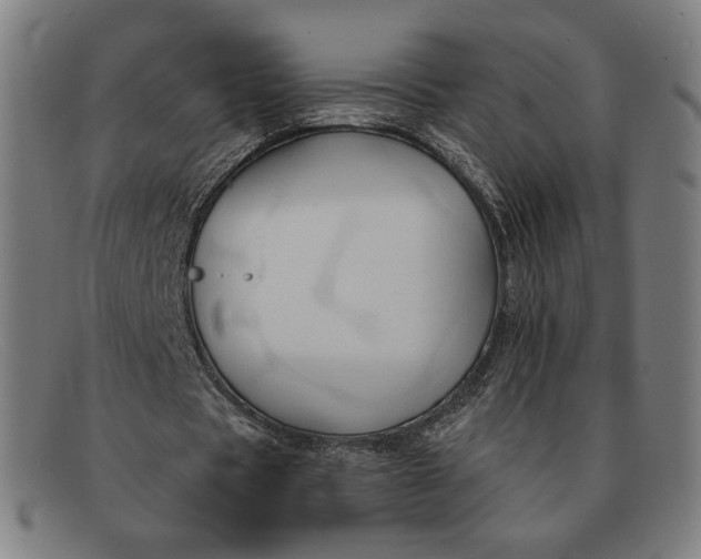 X0000091290529200708311319