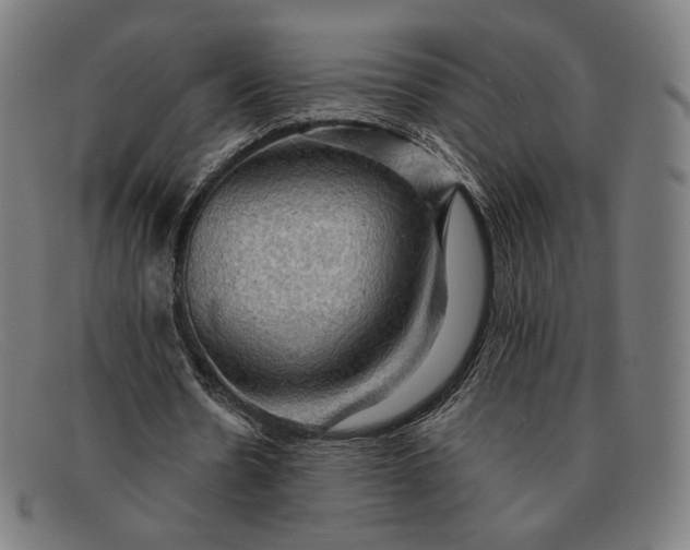 X0000091290530200708311319