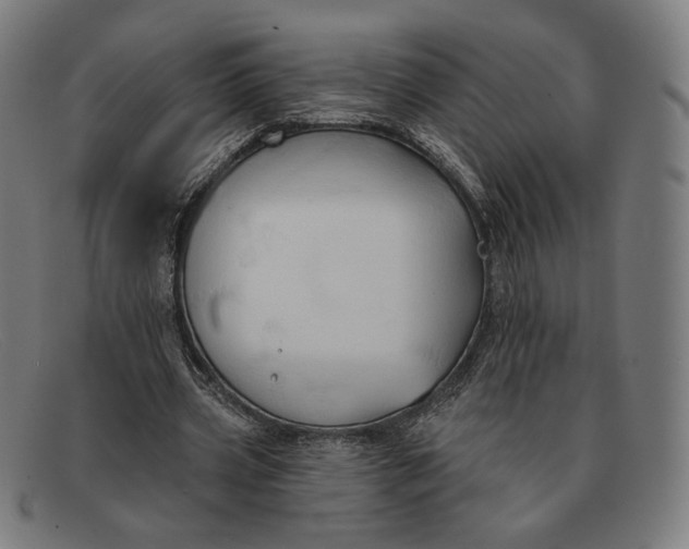 X0000091290533200708311319