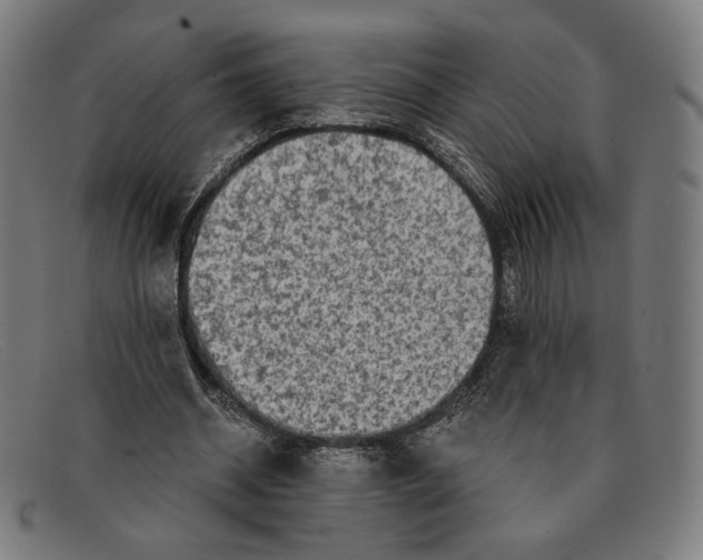 X0000091290534200708311319