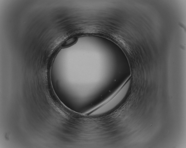 X0000091290535200708311319