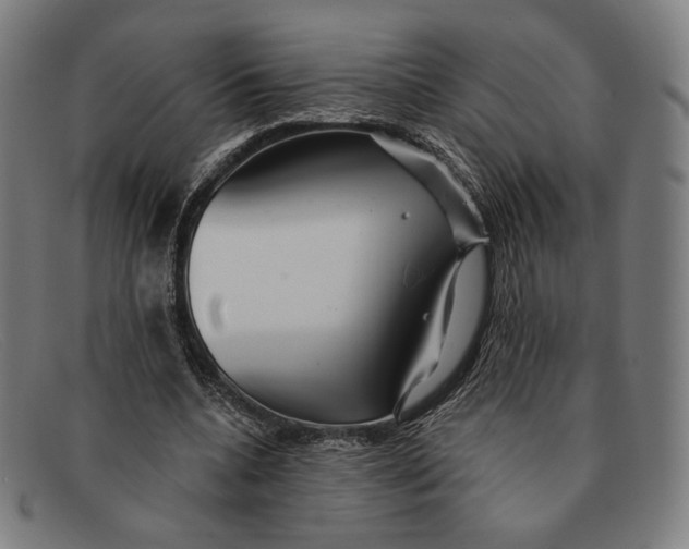 X0000091290536200708311319