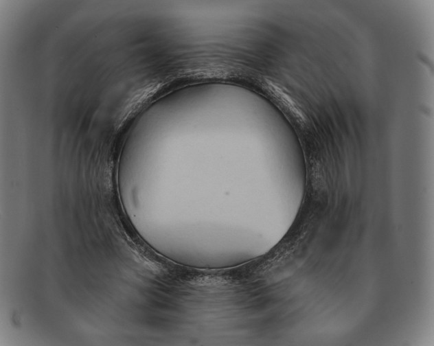 X0000091290537200708311319