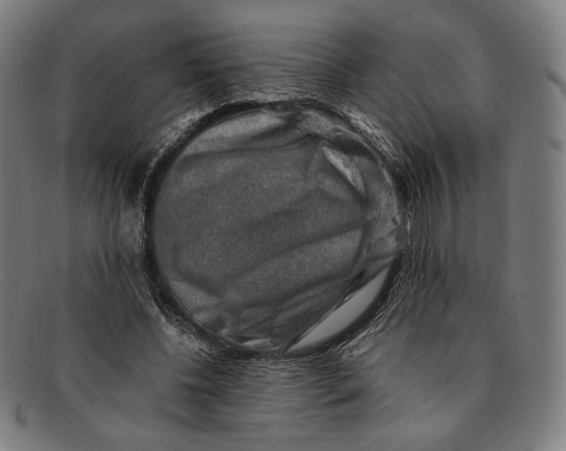 X0000091290540200708311319