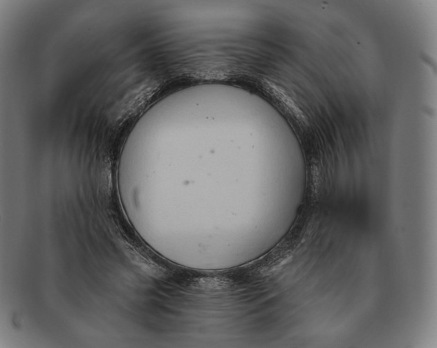 X0000091290541200708311319