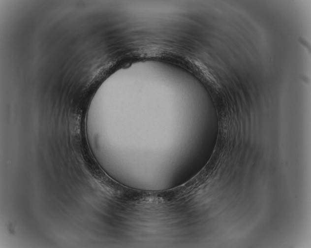 X0000091290543200708311319