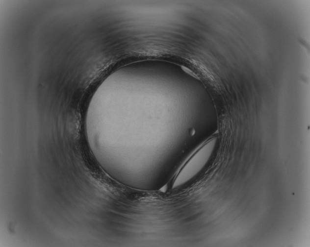 X0000091290544200708311319