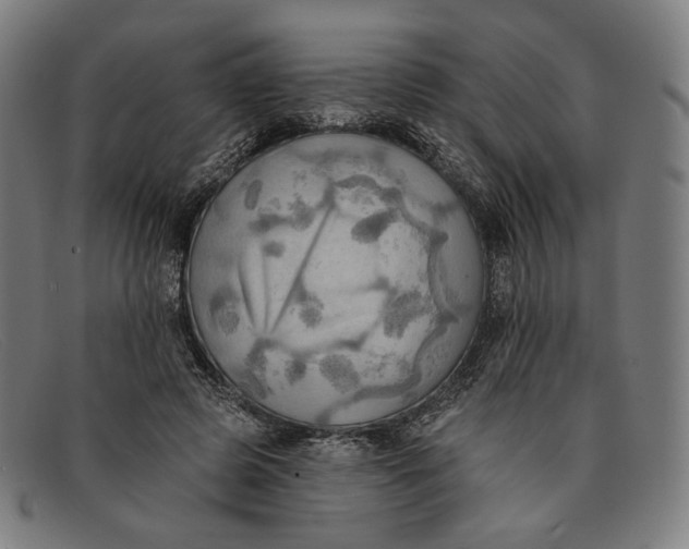 X0000091290545200708311319