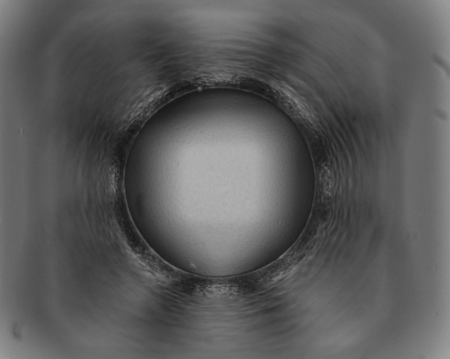 X0000091290546200708311319