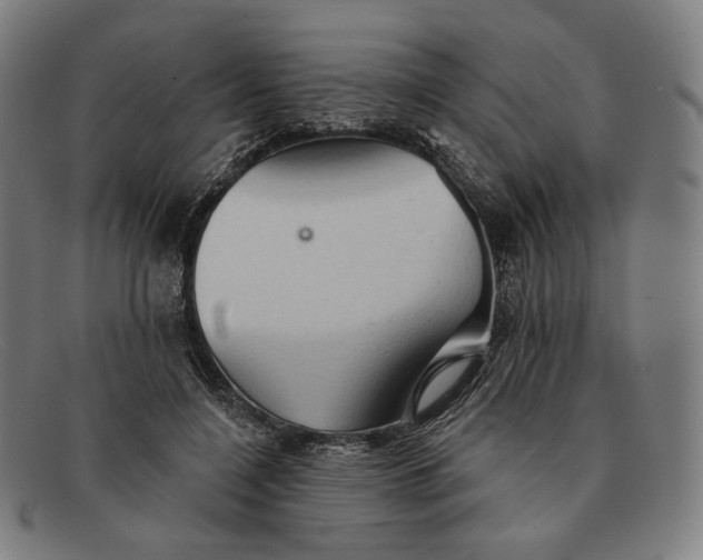 X0000091290548200708311319