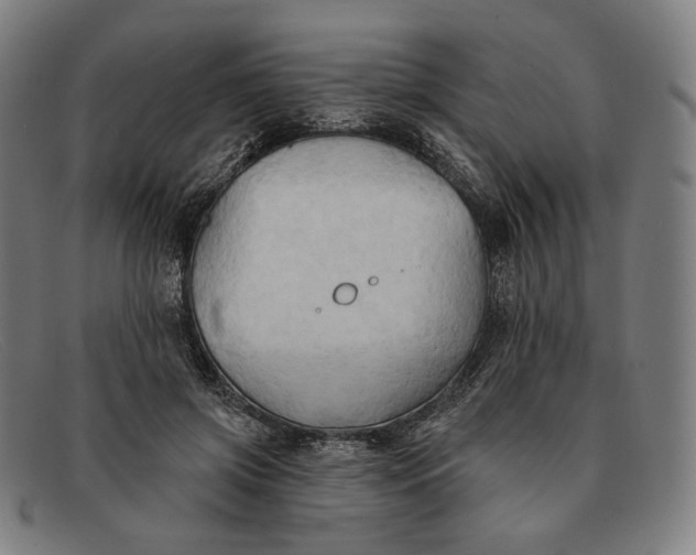 X0000091290549200708311319