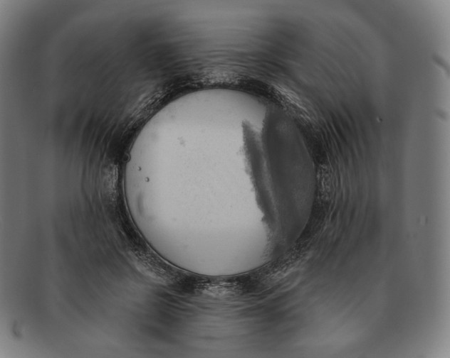 X0000091290550200708311319