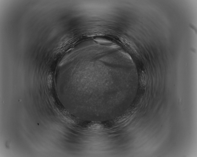 X0000091290551200708311319