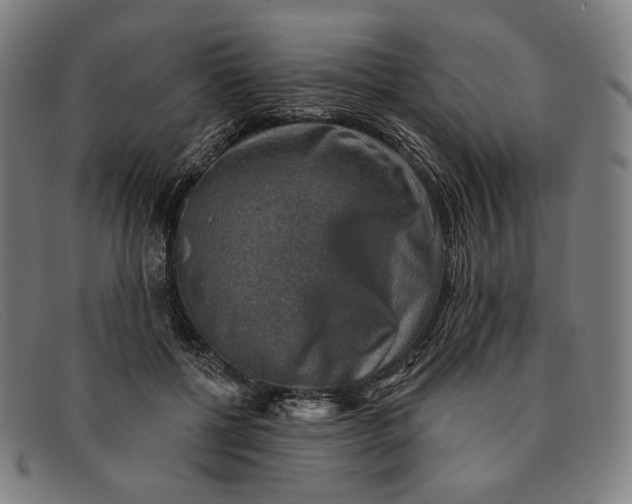 X0000091290552200708311319