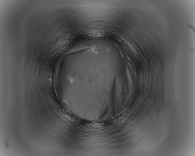 X0000091290553200708311319