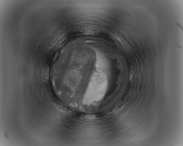 X0000091290554200708311319