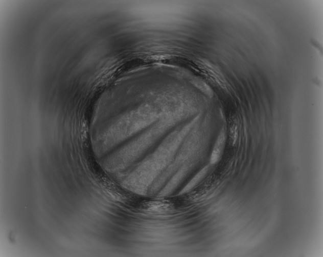 X0000091290555200708311320