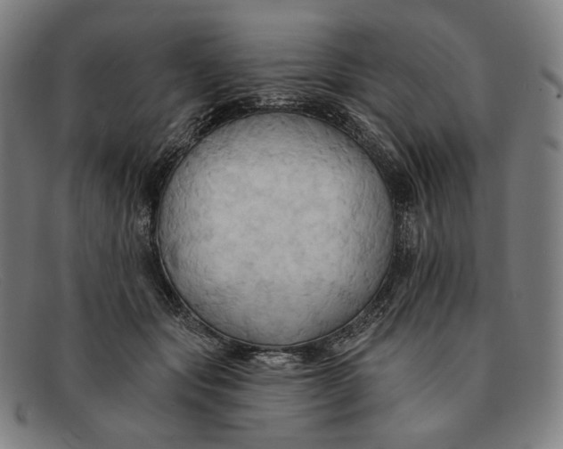 X0000091290557200708311320