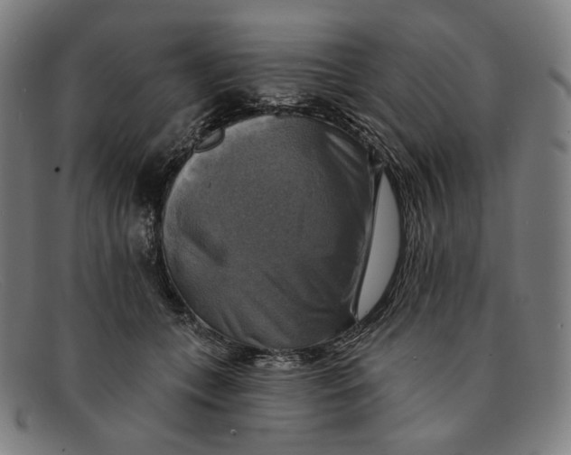 X0000091290559200708311320