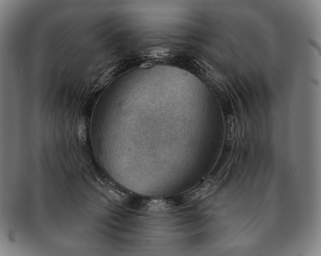 X0000091290562200708311320