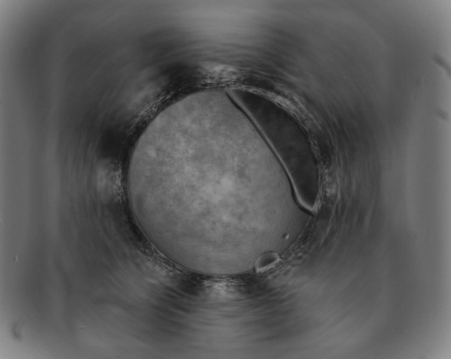 X0000091290564200708311320