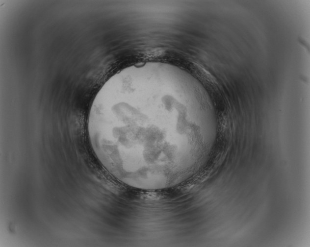 X0000091290565200708311320