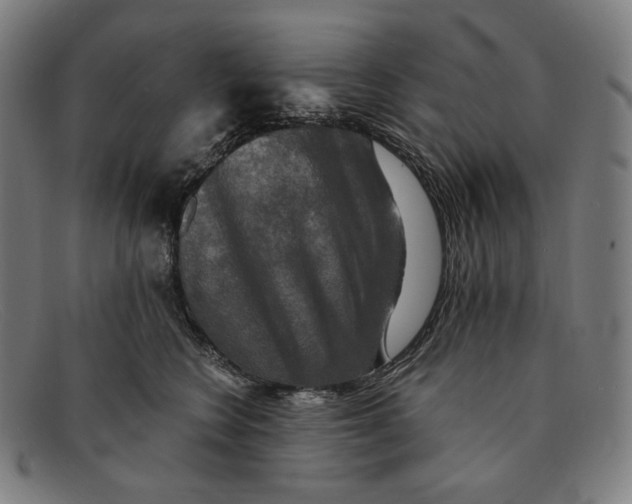 X0000091290566200708311320