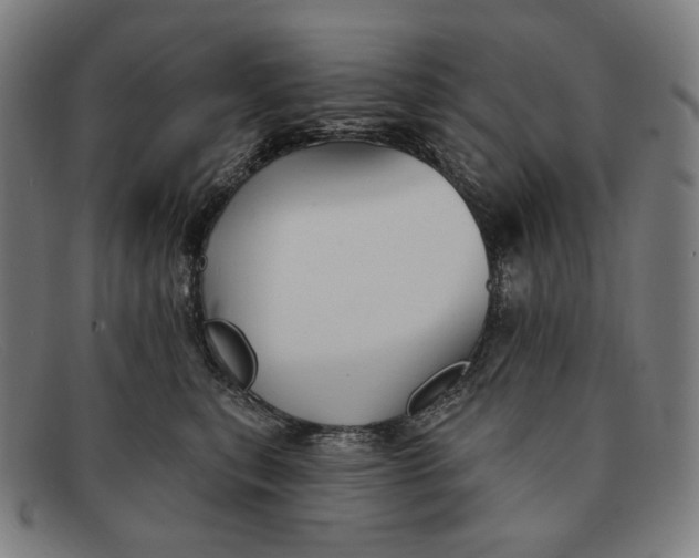 X0000091290567200708311320