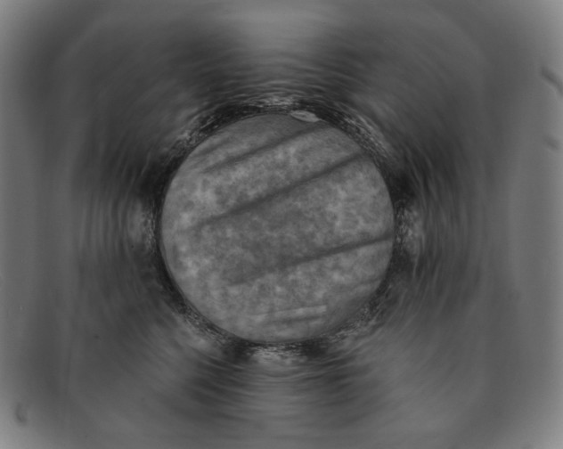 X0000091290568200708311320