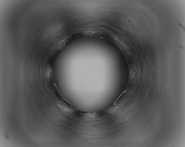 X0000091290574200708311320