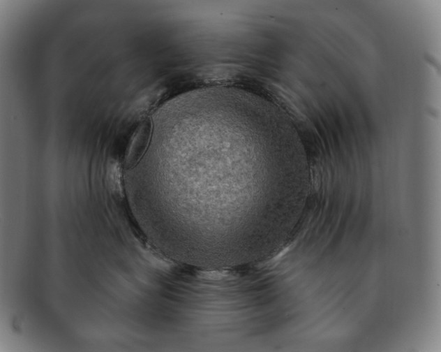 X0000091290575200708311320