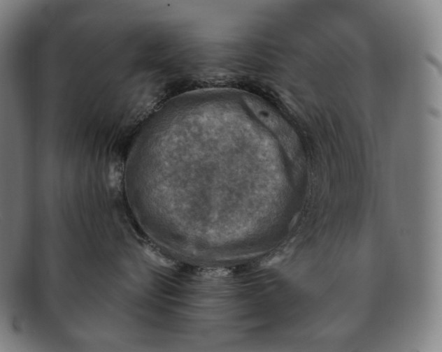 X0000091290576200708311320