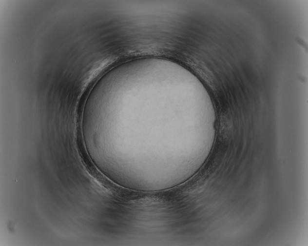 X0000091290578200708311319