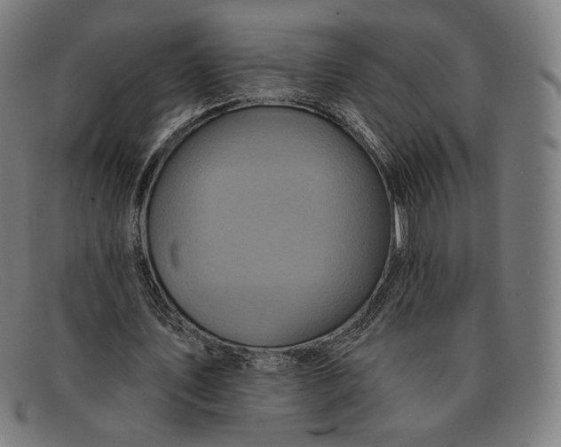 X0000091290579200708311319