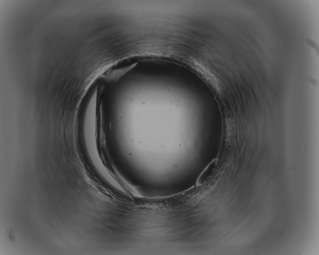 X0000091290580200708311319