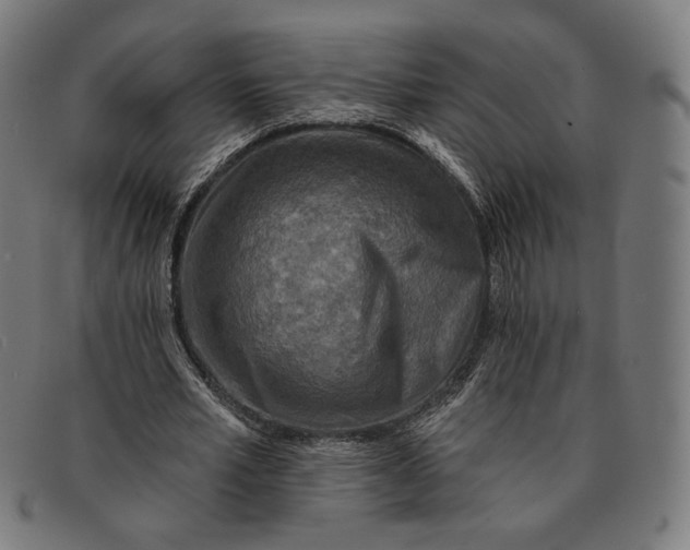 X0000091290581200708311319