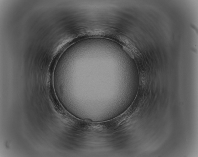 X0000091290583200708311319