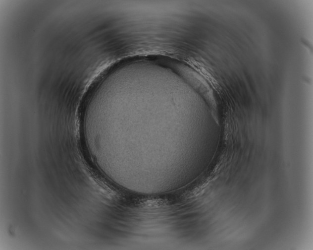 X0000091290584200708311319