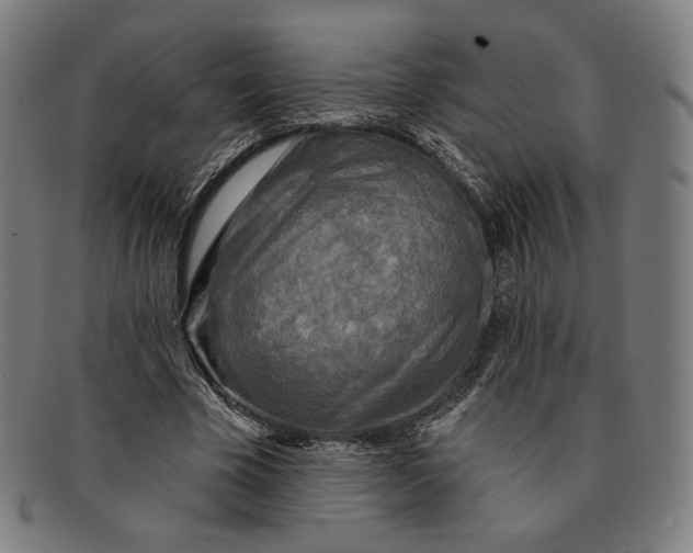 X0000091290585200708311319